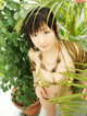 Risa Shimamoto - Stormy Meowde Bbw P10 No.cbfba6